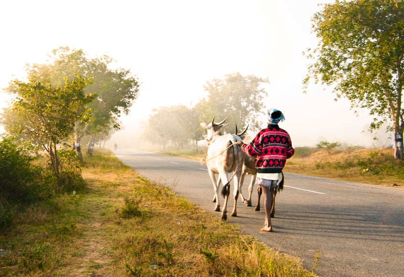 Indian Village Road